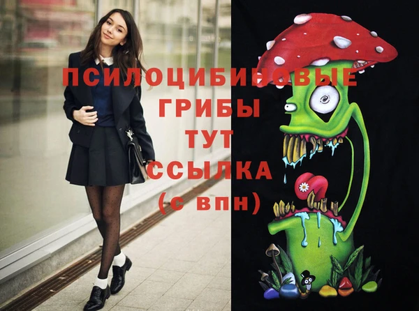 ГАЛЛЮЦИНОГЕННЫЕ ГРИБЫ Балахна